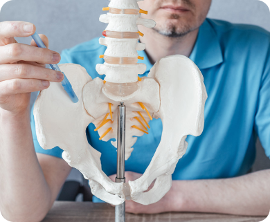 Medical professional explaining spinal anatomy using a model of the pelvis and spine, with a focus on the lower back in New York City