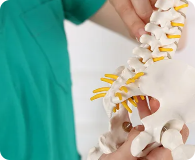 Medical professional explaining spinal anatomy with a detailed model, highlighting nerve roots in New York City