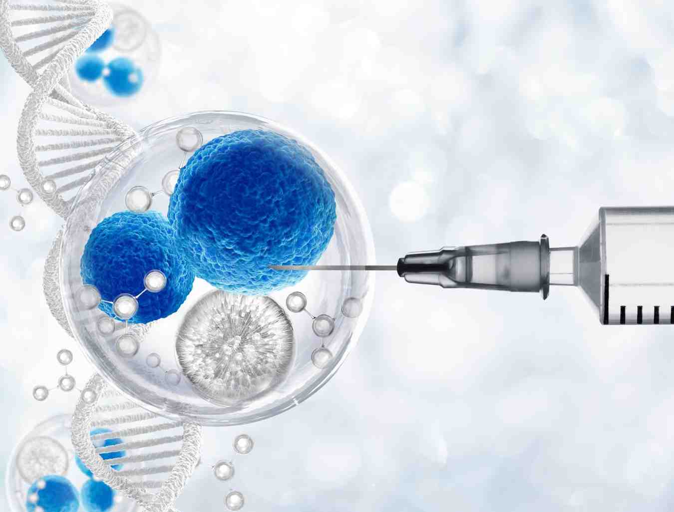 Stem cell therapy in Queens, NY.
